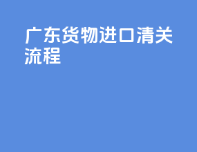 广东货物进口清关流程