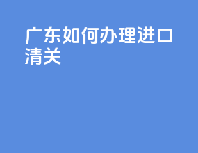 广东如何办理进口清关