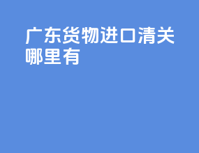 广东货物进口清关哪里有