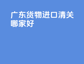 广东货物进口清关哪家好