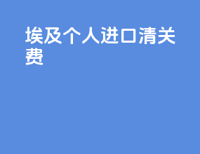 埃及个人进口清关费