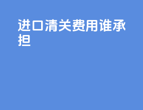 cpt 进口清关费用谁承担