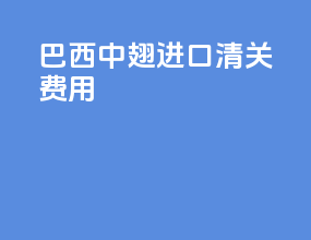 巴西中翅进口清关费用