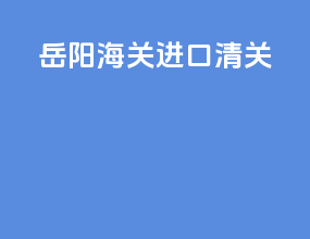 岳阳海关进口清关