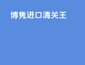 博隽进口清关王