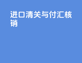 进口清关与付汇核销