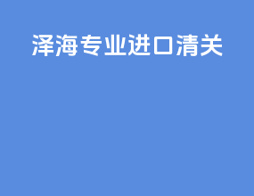 泽海专业进口清关