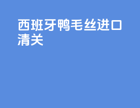 西班牙鸭毛丝进口清关