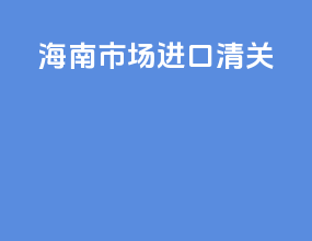 海南市场进口清关