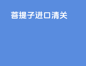 菩提子进口清关