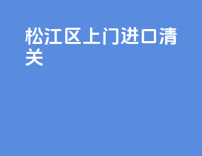 松江区上门进口清关
