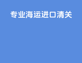专业海运进口清关