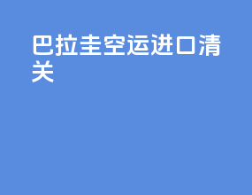 巴拉圭空运进口清关