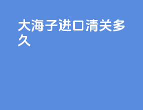 大海子进口清关多久