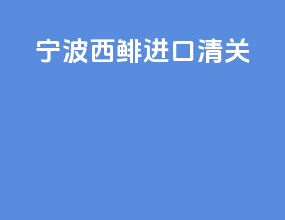 宁波西鲱进口清关