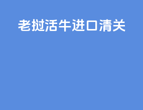 老挝活牛进口清关