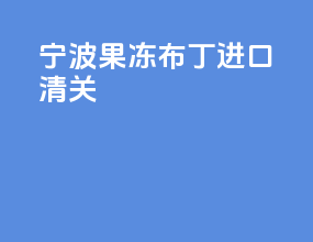 宁波果冻布丁进口清关