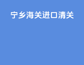 宁乡海关进口清关