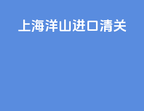 上海洋山进口清关