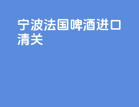 宁波法国啤酒进口清关