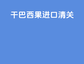 干巴西果进口清关