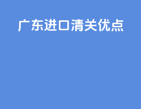 广东进口清关优点
