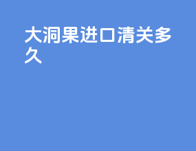 大洞果进口清关多久