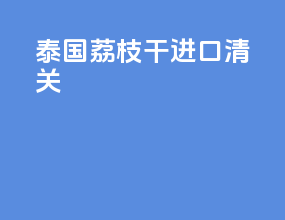 泰国荔枝干进口清关