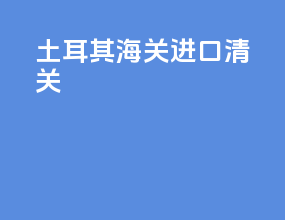 土耳其海关进口清关