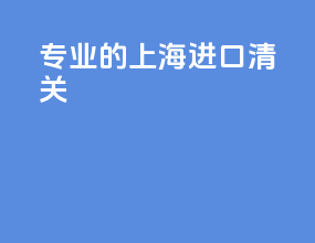 专业的上海进口清关