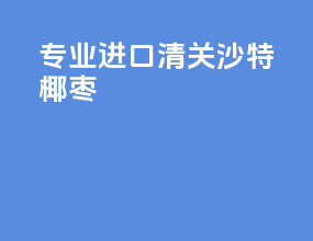 专业进口清关沙特椰枣