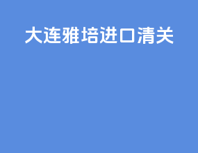 大连雅培进口清关