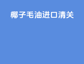 椰子毛油进口清关