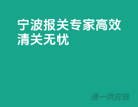 宁波报关专家，高效清关无忧