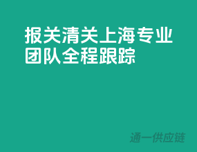 报关清关，上海专业团队全程跟踪