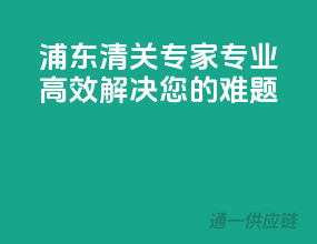 浦东清关专家，专业高效解决您的难题