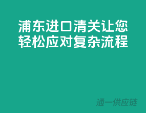 浦东进口清关，让您轻松应对复杂流程