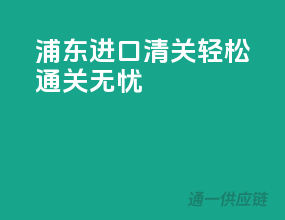 浦东进口清关，轻松通关无忧