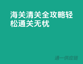 海关清关全攻略，轻松通关无忧