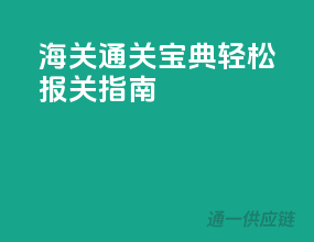 海关通关宝典：轻松报关指南