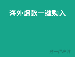 海外爆款，一键购入