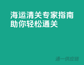 海运清关专家指南，助你轻松通关