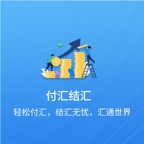 收付外汇